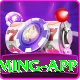 bait VIP Gaming App