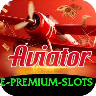 Big Winner Game Premium Slots - 2