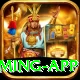 k1game King Gaming App