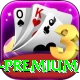 pkz777.com - Casino Premium
